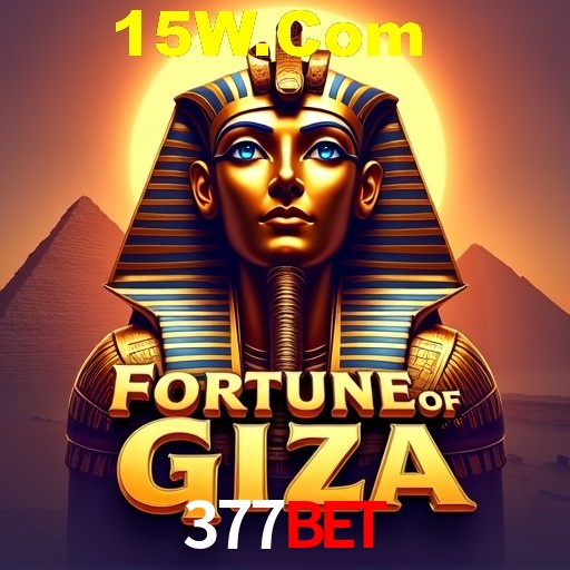 Apostas Esportivas na 377Bet: Um Guia Completo